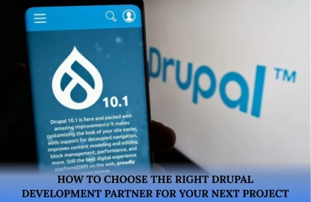how to choose drupal partner